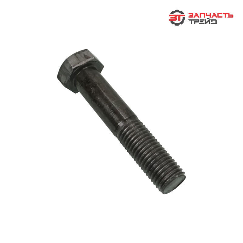 Болт с шестигранной головкой М20х100 (ГОСТ 7798-70) (1 кг)