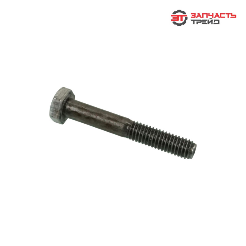 Болт с шестигранной головкой М06х040 (ГОСТ 7798-70) (1 кг)