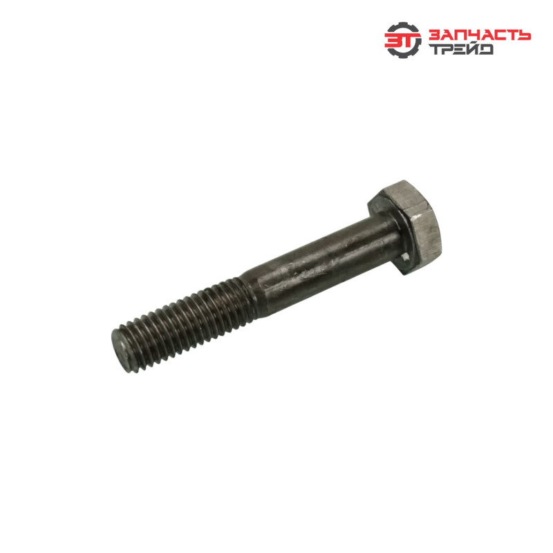 Болт с шестигранной головкой М10х060 (ГОСТ 7798-70) (1 кг)
