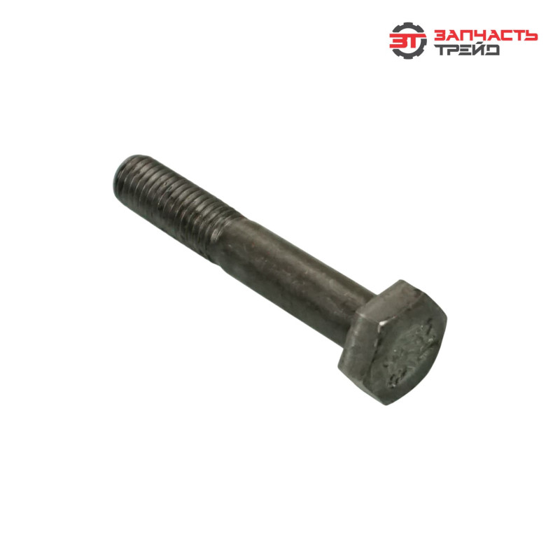 Болт с шестигранной головкой М10х060 (ГОСТ 7798-70) (1 кг)
